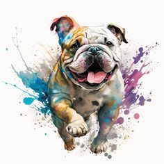 an image of a dog with paint splatters on it's face and paws