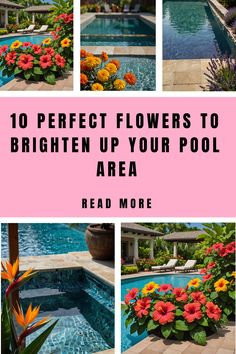 the words 10 perfect flowers to brighten up your pool area read more