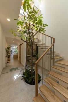 there is a tree that is in the middle of this room next to some stairs