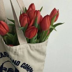 red tulips are in a canvas bag