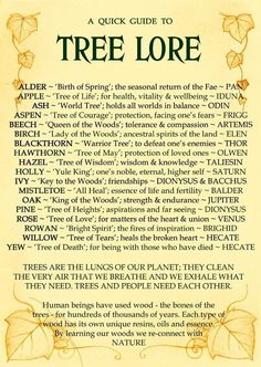 the tree lore is written in an old fashioned style, with leaves and flowers on it