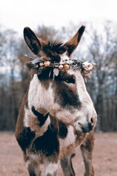 a close up of a donkey wearing a flower crown on it's head with trees in the background