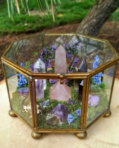 Crystal Garden, Crystal Aesthetic, Terrariums Kits, Glass Terrarium, Crystal Decor, Witchy Things, Rocks And Gems, Witchy Stuff, Witchy Woman