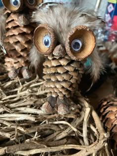 two little owls made out of pine cones