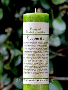 Prosperity and abundance are available to us in unlimited quantities. Manifest all you desire and deserve with this vibrant green prosperity hand-poured blessed herbal pillar candle. The Universe is ready to conspire for your abundance, all you need to do is ask and manifest your dreams. Each candle comes with an affirmation to help you manifest, use it as is or modify it to make it yours! The price is per candle. Size: 7" x 1.5". Burn time: Approximately 40 hours. Fragrance: Bergamot & clove. Paraffin blend wax with a cotton wick. Green Candle Money Prayer, Success Candle Spell, Green Money Candle, Prosperity Spell Candle, Herbal Candles, Prosperity Candle, Candle Altar, Candle Magick, Etsy Candles