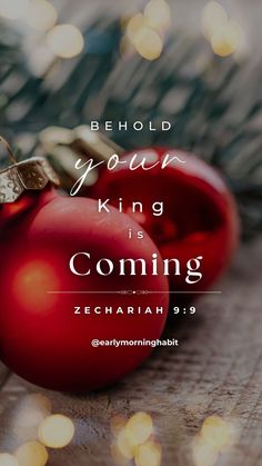 two red christmas ornaments with the words behold your king is coming