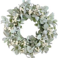 PRICES MAY VARY. 🫒[Everyday Lambs Leaves Wreath] Light green color lambs leaves combine with white cream color berries pick, the wreath is full and life looking. The greenery leaves wreath is really suitable for new seasonal home decoration. 🫒[18 Inch Spring Door Wreath] The outer diameter of this Spring door wreath measures 18 Inch, this size is well-matching and moderate, It is very suitable for your home wall, windows, doors, fireplace and outside yard decorations, and this wreath will be e Ivory Hydrangea, Lambs Ears, Burlap Ribbon Bow, Window Place, Summer Greenery, Wreath With Burlap, Lambs Ear Wreath, Spring Door Wreaths, Door Wreaths Fall