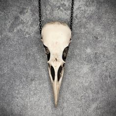 Add a touch of gothic fashion and witchy style to your outfit with a realistic resin skull necklace and start turning heads. This skull pendant is a replica cast from durable urethane resin from a real raven skull. The symbolic meaning of the raven in Native American Indian lore and also Viking lore is one of change and transformation, they are considered to be a bearer of magic and a harbinger of messages from the spirit world. The raven is sometimes considered to be a trickster and is one of the smartest animals on our planet. This bird skull necklace is the perfect piece for everyday wear and is loved by those who celebrate gothic fashion, biker jewelry, creepy jewelry, bone jewelry, Edgar Allen Poe or just think the raven is the most mystical and impressive animal on earth. Measuring 2 Animal Bone Necklace, Goth Necklaces, Creepy Jewelry, Real Bone Jewelry, Animal Bone Jewelry, Bird Skull Necklace, Raven Skull Necklace, Witchy Style, Resin Skull