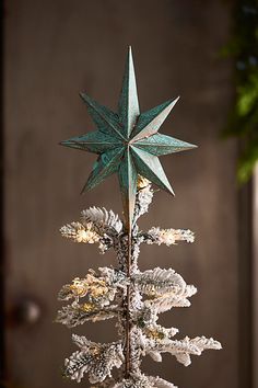 a small christmas tree with a star on top