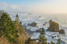 an ocean view with trees and rocks in the foreground