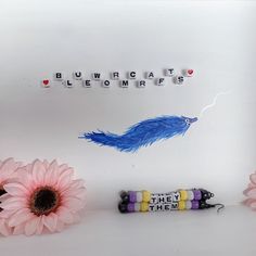 two flowers are next to some type of magnets on a wall with words written in them