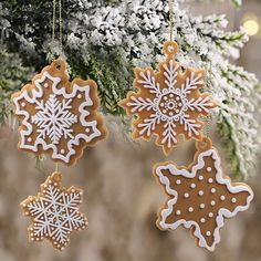 three decorated cookies hanging from a tree with snowflakes on it's sides