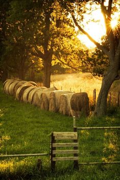 Changing Aesthetic, Hay Bales, Country Scenes, Farms Living, Rural Life, Old Barns, Country Farm, Green Gables, The Grass