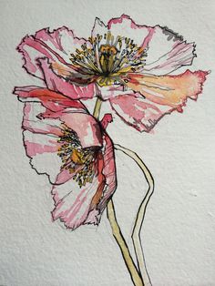 a drawing of two pink flowers on a white background