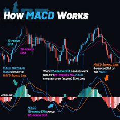 how macd works in the forex trading system with multiple indicators and timestams