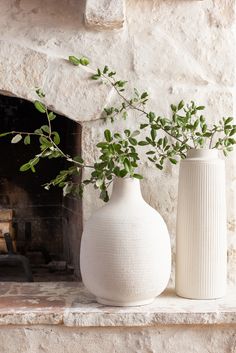 two white vases sitting on top of a mantle next to a fire place with a plant in it