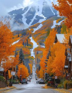 the road is lined with houses and trees that have their leaves turning yellow in autumn