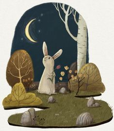 an illustration of a rabbit sitting in the grass with trees and rocks around it at night