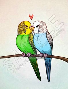 two colorful birds sitting on top of a tree branch with a heart in the background