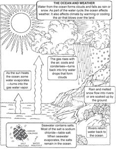 the ocean and weather worksheet is shown in black and white, with an image of