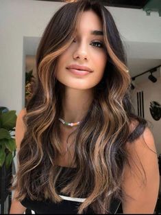 Dark Brown Hair With Highlights, Celebrities Hairstyles, Hairstyles And Colors, Highlights Ideas, Chestnut Hair Color, Brown Hair Looks, Hair Adviser