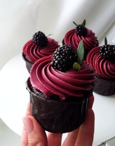 a hand holding a chocolate cupcake with raspberry frosting and blackberries on top