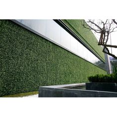 a large green wall next to a building