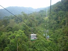 a cable car in the middle of some trees