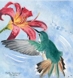 A blue painterly hummingbird feeds from an orange and red lily flower art print with a blue background. By artist, Melly Terpening Hummingbird Watercolor, Framed Photography, Hummingbird Art, Bird Painting, Work With Me, Bird Illustration, Art Prints For Sale