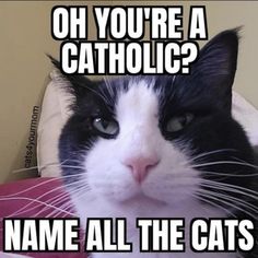 a black and white cat with the caption oh you're a catholic? name all the cats