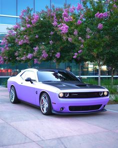 a purple and black car parked in front of some trees