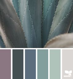 the color scheme is blue and gray, with green leaves in it's center