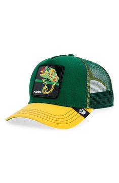 a green and yellow hat with a chamelon patch on the front, along with an embroidered logo