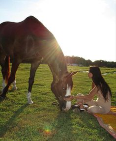 a woman sitting on the grass feeding a horse