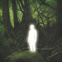 a person standing in the middle of a forest