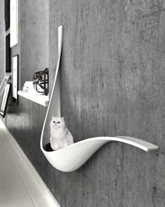 a white cat sitting in a curved shelf next to a mirror on the side of a wall