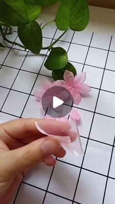 a person is holding some pink flowers on a white tile floor with greenery in the background