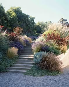 a garden with steps leading up to it