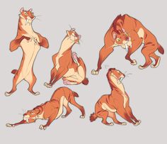 several different poses of the same cat in various positions, including one sitting and one standing