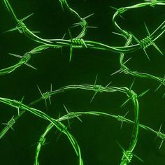 green barbed wire against a black background with the light shining on it's sides