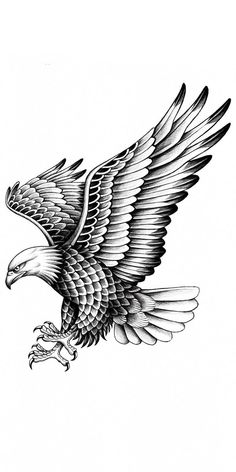 an eagle flying in the air with its wings spread out and it's talon extended