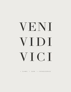 the words are in black and white on a light gray background that says, veni vidi vicci