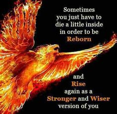 an image of a fire bird with the words, sometimes you just have to die a little inside in order to be reborn