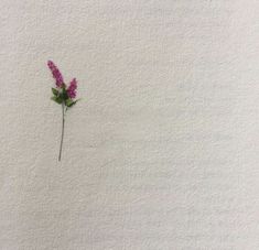 a single purple flower on a white wall