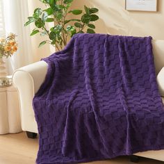 a couch with a purple blanket on top of it next to a potted plant