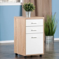 a white cabinet with three drawers and a potted plant on the bottom shelf, in front of a blue wall