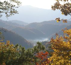 the mountains are covered in trees with yellow and red leaves on them, as seen from above