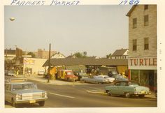 cars are parked on the street in front of buildings and shops, including a turtle shop