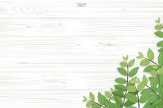 green leaves on white wood background with space for text