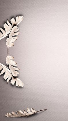 two silver leaves on a gray background